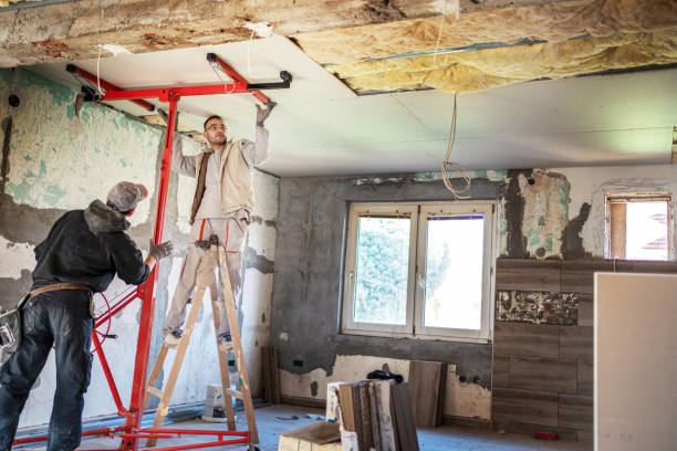 Insulation Repair Services in Argyle, TX